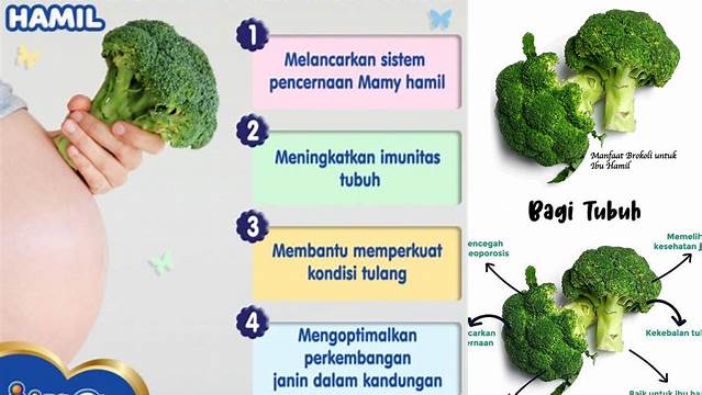 Temukan Khasiat Brokoli untuk Ibu Hamil yang Jarang Diketahui