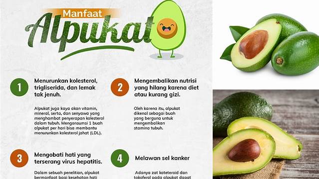 Temukan 9 Manfaat Buah Alpukat yang Jarang Diketahui