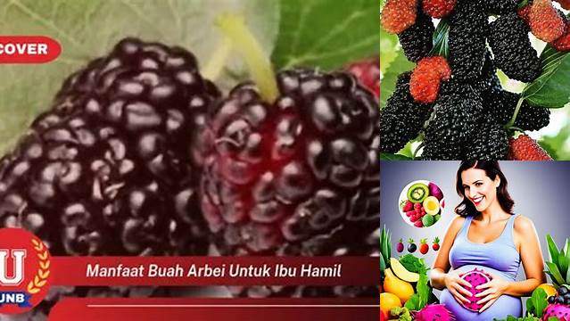 Temukan Manfaat Buah Arbei untuk Ibu Hamil yang Jarang Diketahui