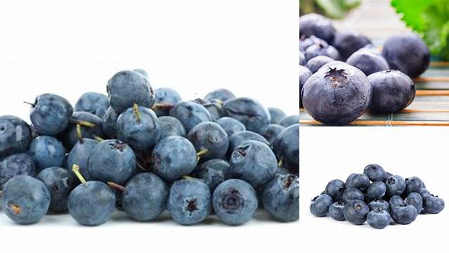 10 Khasiat Buah Bilberry yang Jarang Diketahui