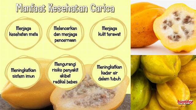 Ungkap Manfaat Buah Carica yang Jarang Diketahui, Wajib Dicoba!