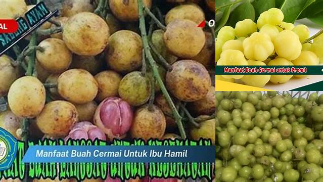 Buka Manfaat Buah Cermai untuk Ibu Hamil yang Jarang Diketahui