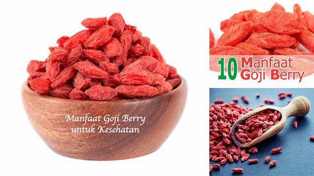 Manfaat Buah Goji Berry: Penemuan dan Wawasan Menakjubkan