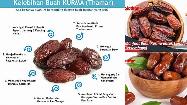 Manfaat Buah Kurma untuk Lambung: Temukan Khasiatnya yang Luar Biasa