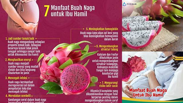 Temukan Khasiat Buah Naga untuk Ibu Hamil yang Jarang Diketahui