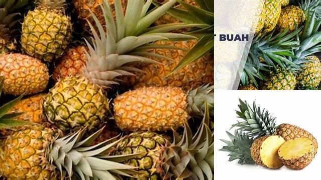 Temukan Manfaat Buah Nanas untuk Pria yang Jarang Diketahui