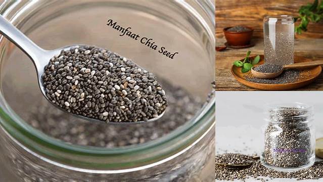 10 Manfaat Chia Seed yang Jarang Diketahui, Wajib Tahu!