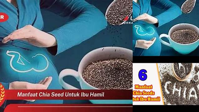 Temukan Manfaat Chia Seed untuk Ibu Hamil yang Jarang Diketahui