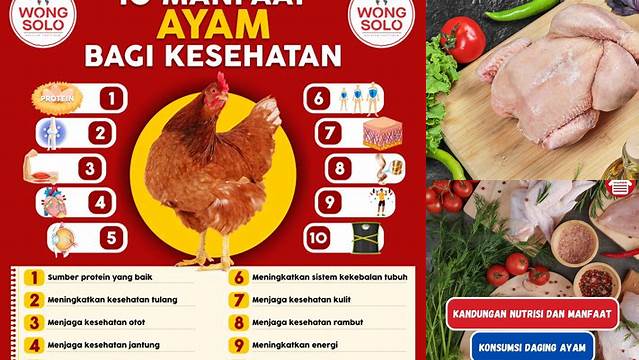 Ungkap Manfaat Daging Ayam yang Jarang Diketahui untuk Tubuh Sehat