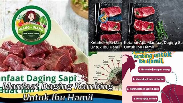 Temukan 8 Manfaat Daging Kambing untuk Ibu Hamil yang Jarang Diketahui