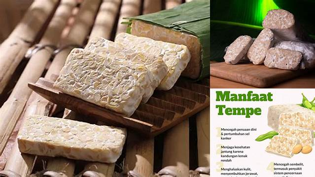 Terungkap! 7 Manfaat Tempe yang Jarang Diketahui