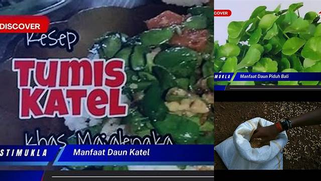 Manfaat Daun Katel yang Wajib Anda Tahu