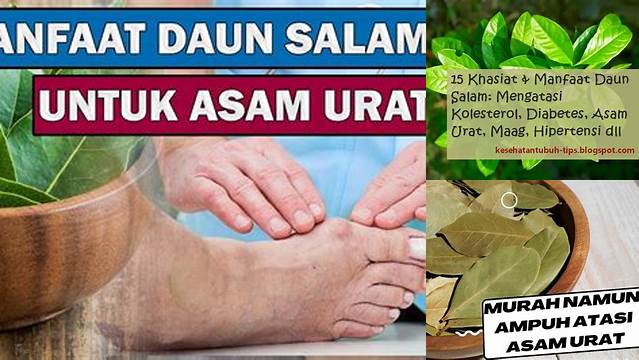 Temukan Dahsyatnya Manfaat Daun Salam untuk Asam Urat yang Jarang Diketahui