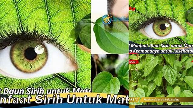Unveil the Rare Benefits of Daun Sirih for Your Eyes