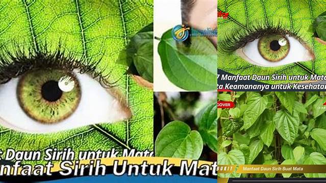 Unveil the Rare Benefits of Daun Sirih for Your Eyes