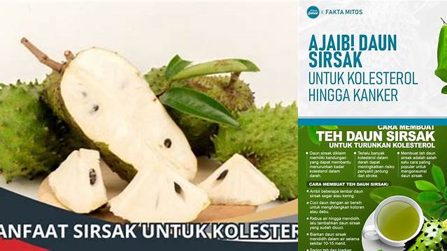 Manfaat Daun Sirsak untuk Kolesterol yang Perlu Anda Tahu