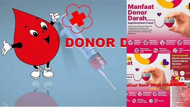 Temukan Manfaat Donor Darah bagi Wanita yang Jarang Diketahui dan Anda Perlu Tahu