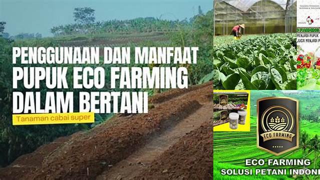 Temukan Manfaat Eco Farming yang Jarang Diketahui