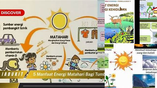 Manfaat Energi yang Jarang Diketahui Bagi Tumbuhan yang Harus Kamu Tahu