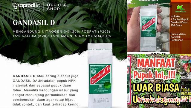 Temukan Manfaat Gandasil D yang Jarang Diketahui, Petani Wajib Tahu!