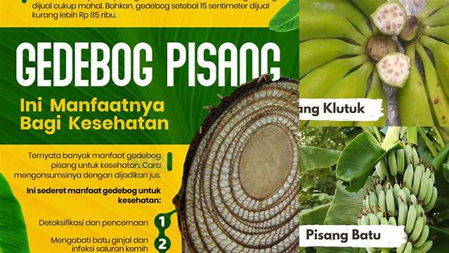 Temukan Manfaat Gedebog Pisang yang Jarang Diketahui