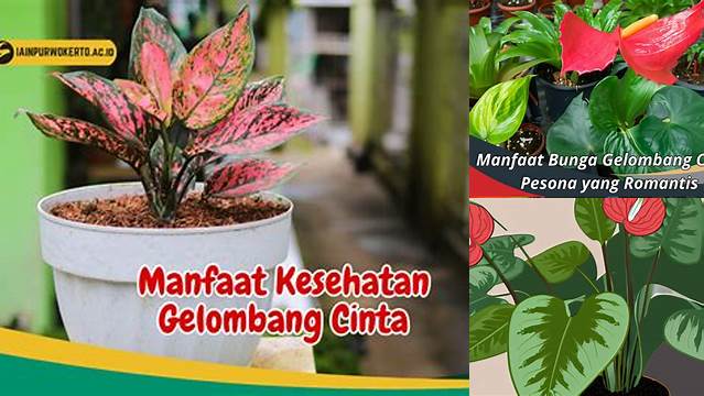 Temukan Manfaat Gelombang Cinta yang Jarang Diketahui