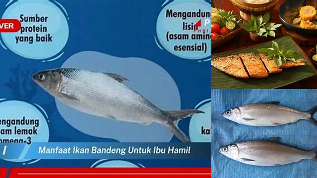 Temukan Manfaat Ikan Bandeng untuk Ibu Hamil yang Belum Diketahui