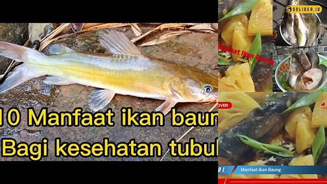 Temukan Manfaat Ikan Baung yang Jarang Diketahui!