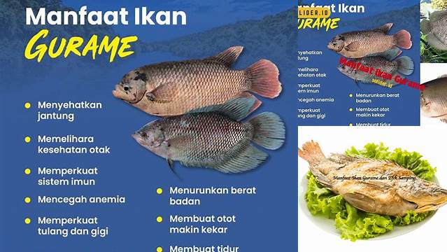 Temukan Manfaat Ikan Gurame yang Belum Kamu Tahu