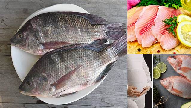Temukan 10 Manfaat Ikan Mujair untuk Ibu Hamil yang Jarang Diketahui