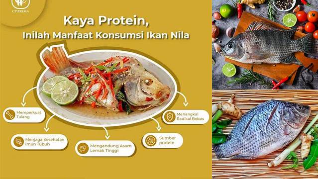 Ungkap 7 Manfaat Ikan Nila yang Jarang Diketahui