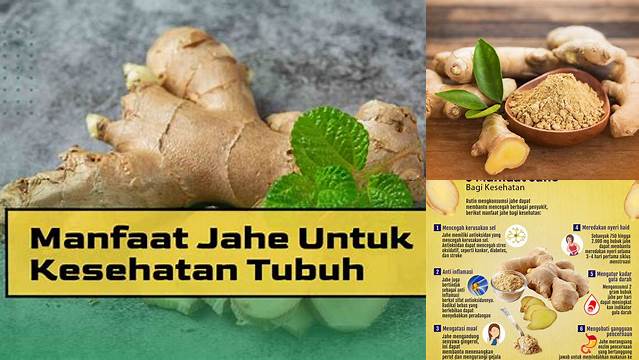 Temukan 15 Manfaat Jahe untuk Kesehatan Tubuh yang Jarang Diketahui