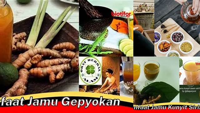 Temukan 10 Manfaat Jamu Geplukan yang Jarang Diketahui