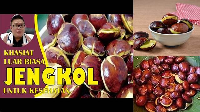 Temukan Khasiat Jengkol Sepi yang Jarang Diketahui