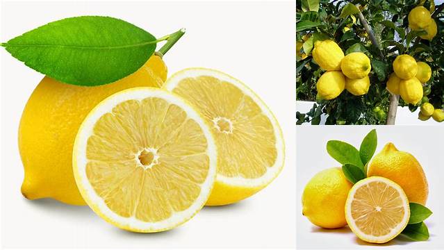 Temukan Khasiat Jeruk Lemon yang Jarang Diketahui, Sangat Menakjubkan!