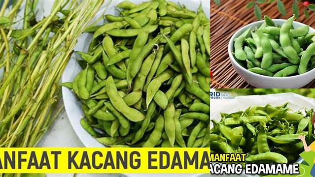 Unveil the Benefits of Edamame Beans: Discoveries You Need to Know
