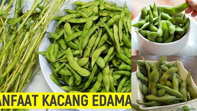 Unveil the Benefits of Edamame Beans: Discoveries You Need to Know