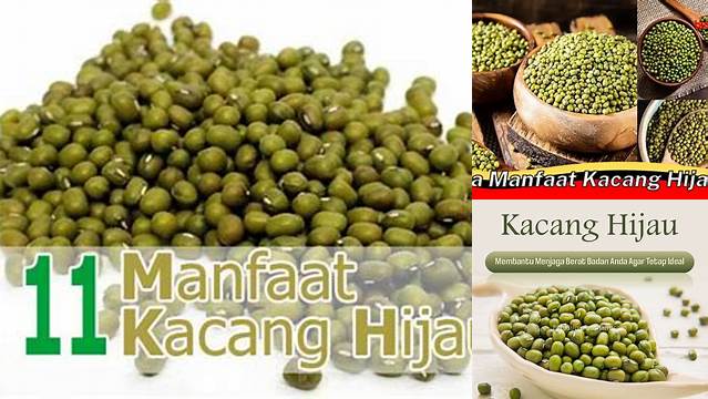 Temukan Khasiat Kacang Hijau yang Jarang Diketahui