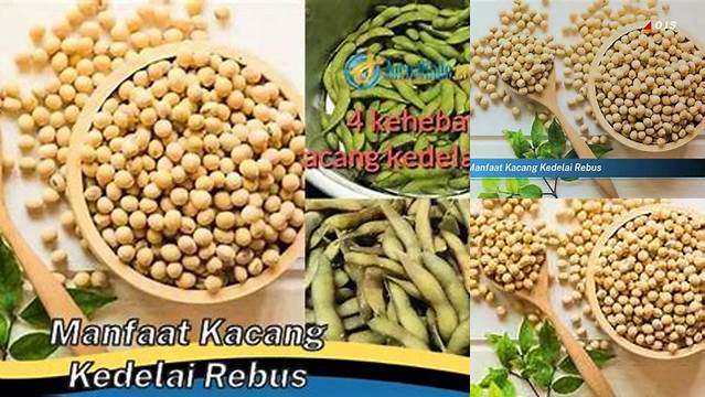 Temukan Manfaat Kacang Kedelai Rebus yang Jarang Diketahui