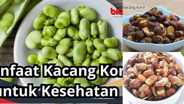 Temukan Manfaat Luar Biasa dari Kacang Koro yang Jarang Diketahui