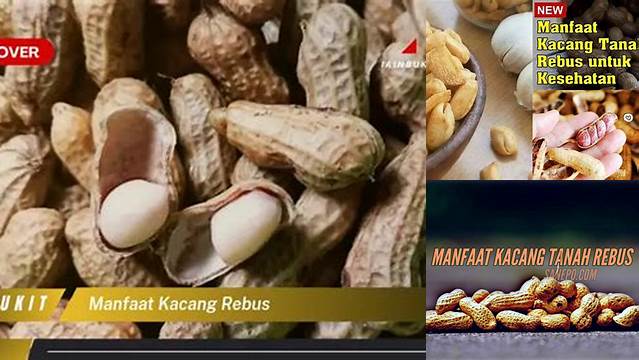 Temukan 7 Manfaat Kacang Rebus yang Jarang Diketahui