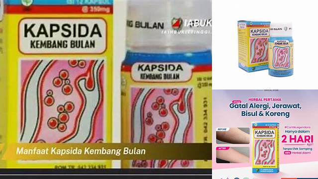 Temukan Manfaat Kapsida Kembang Bulan yang Jarang Diketahui