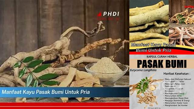 Temukan 8 Manfaat Kayu Pasak Bumi untuk Pria yang Jarang Diketahui