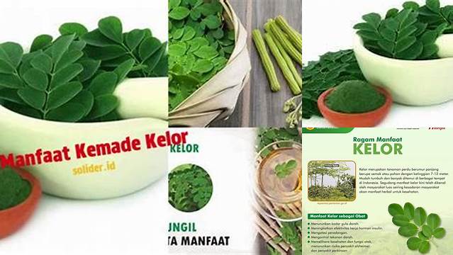 Manfaat Kemade Kelor: 10 Manfaat yang Jarang Anda Ketahui