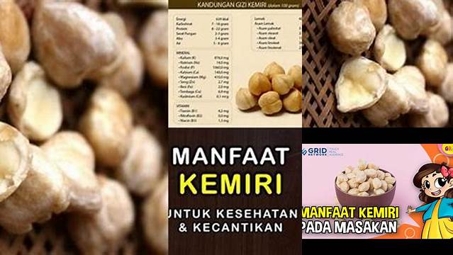 Manfaat Kemiri dalam Masakan: Rahasia Tersembunyi yang Perlu Anda Tahu