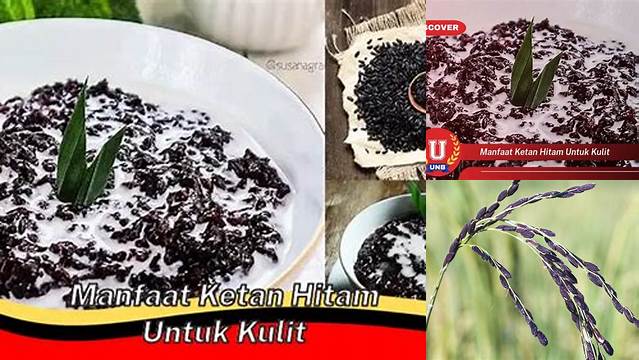 Temukan Rahasia Ketan Hitam untuk Kulit Cantik Anda, Jarang Diketahui!