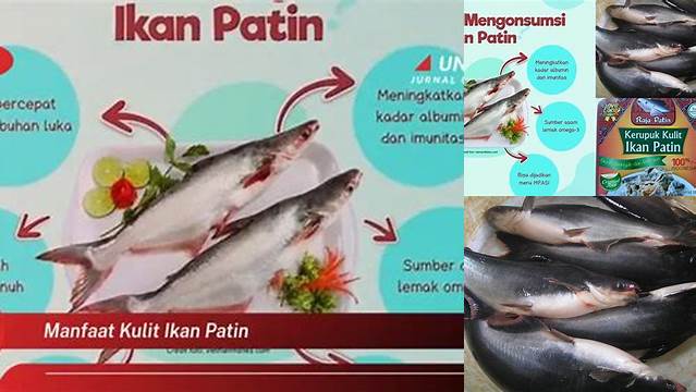 Manfaat Kulit Ikan Patin Jarang Diketahui, Yuk Cari Tahu!