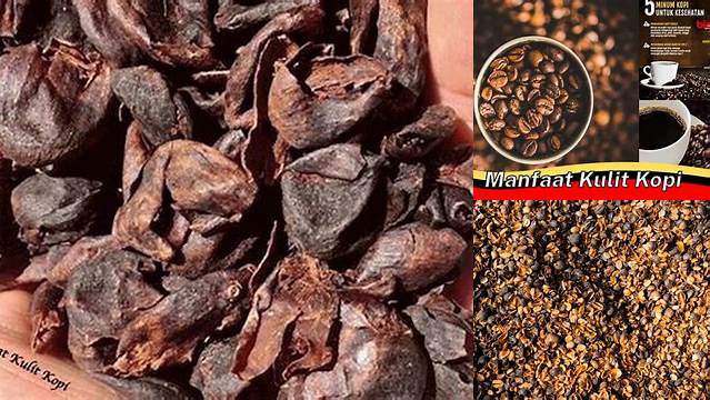 Temukan Manfaat Kulit Kopi yang Jarang Diketahui