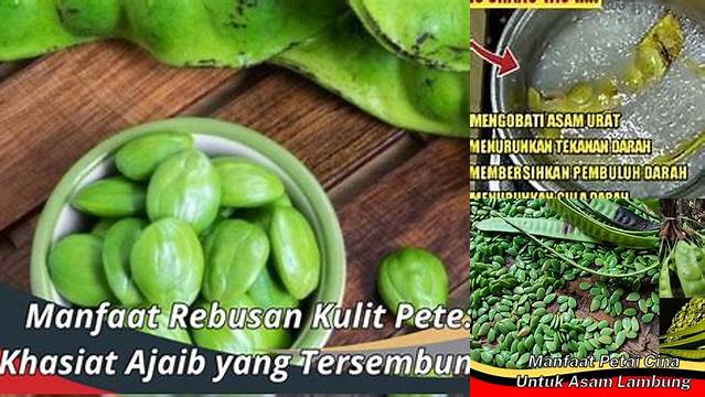 Manfaat Kulit Pete yang Wajib Kamu Tahu!