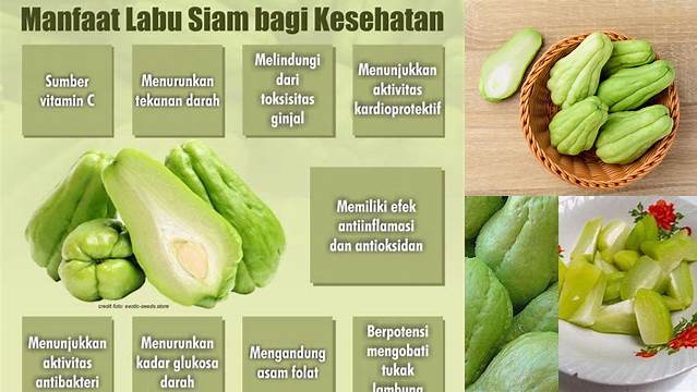 Unveil the 10 Benefits of Labu Siam Kukus: Discover the Health Secrets You Need to Know